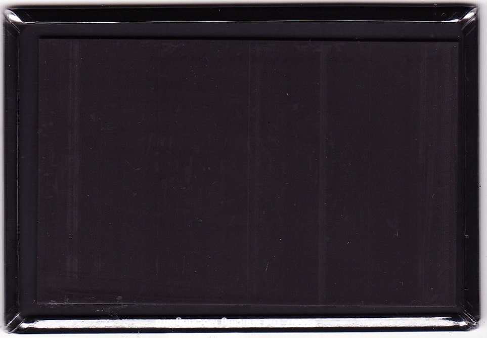 American Need - bird RECTANGLE MAGNET