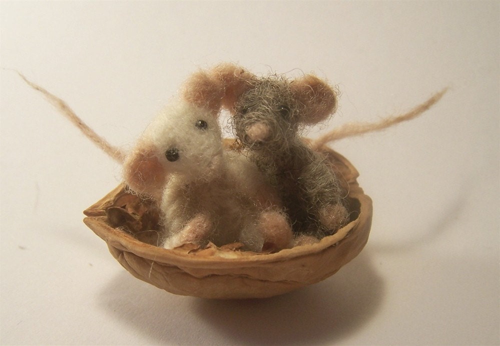 Two little nuts in a mouse shell