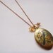 sepia locket . blue jay .