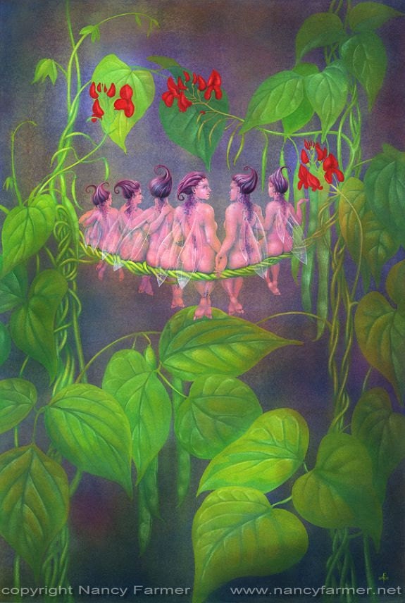 The Flower Fairies go to Seed: Runner Beans - art print -  12x18 inch