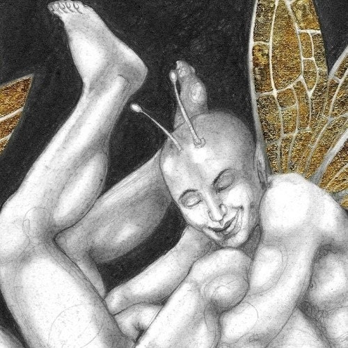 The Fairy Ring - mature, gay and very, very rude fairy print - 12 inch square
