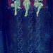 DNA Angels II - what happens when science meets religion... signed 10x18.5 inch print