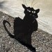 Cat Chat Noir Black Cat Yard Garden Art Steinlen Statue