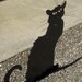 Cat Chat Noir Black Cat Yard Garden Art Steinlen Statue