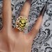 Bats Upon the Glowing Moon Ring