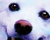 American Eskimo Bookmark