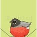 Round Robin , limited edtion print