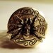 Victorian Steampunk MY SECRET SPIDER Goth Locket Ring