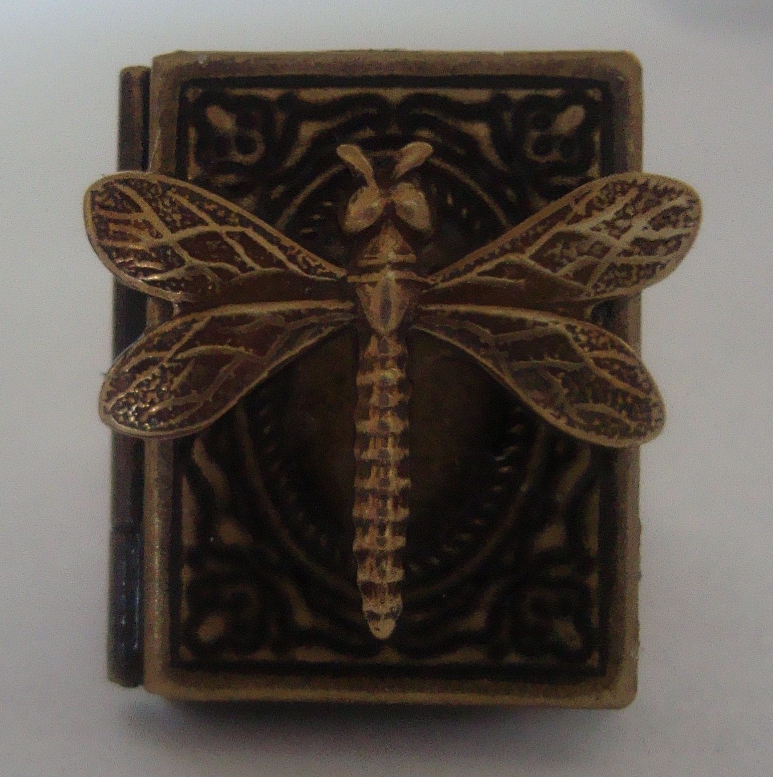 Victorian Steampunk Dragonfly's Book Brass Rectangle Locket Ring NEW