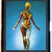 Medical Weirdness Anatomy Woman Medical Inside Out Cigarette Case Business Card Holder or Wallet NEW