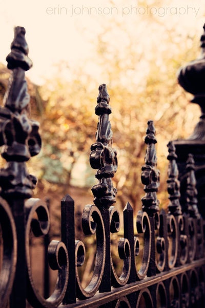 new orleans photography garden district wrought iron fence fleur di lis autumn decor bokeh new orleans art Autumn in New Orleans 8x12