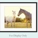 horse photography fine art horse photograph yellow decor farm decor nature horse portrait babiekins magazine Two Horses 8x10