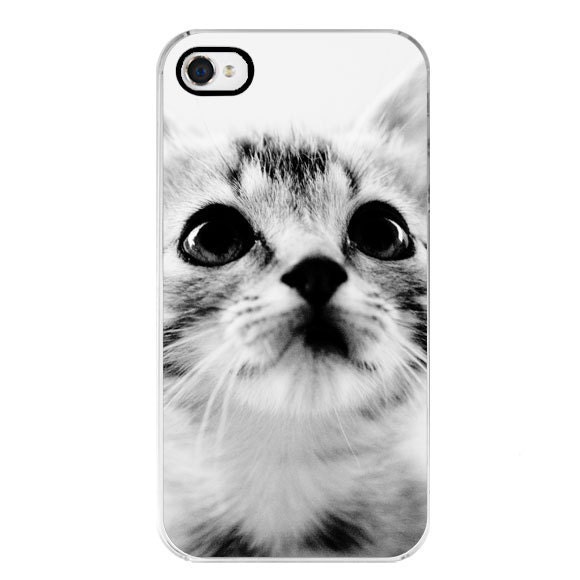 SALE phone case iPhone - Cat Lover - Cat photography - Sweet Kitten - Apple iPhone 4/4s - Black & White