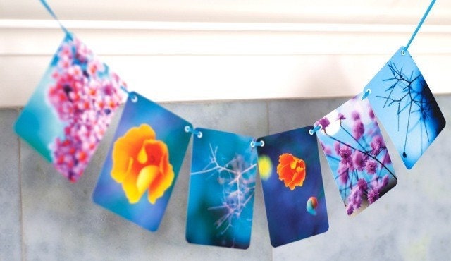 Littleput Vignette- Hues of Blue- Poppies, flowers and pretty-  A string of photographs for your wall