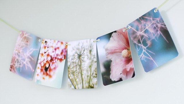 Littleput Vignette- Spring Thing.  A string of photographs for your wall in gorgeous pastels