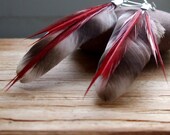 Red Herring No.4 