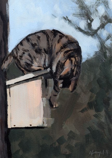 Cat Print Animal Art Tabby 5x7 on 8x10  - Tabby Cat Birding by David Lloyd