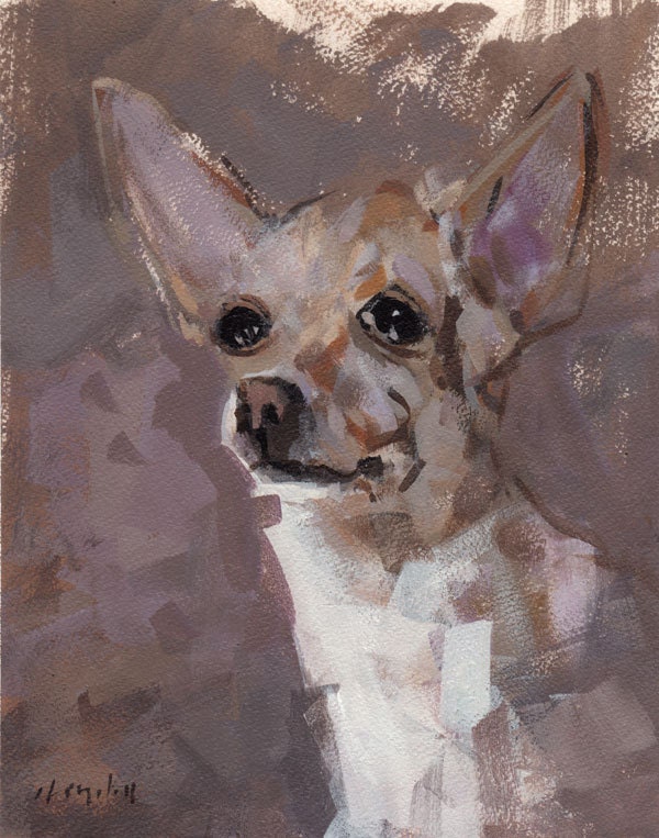 Dog Art Print Chihuahua 9x12 on 11x14 - Chihuahua by David Lloyd