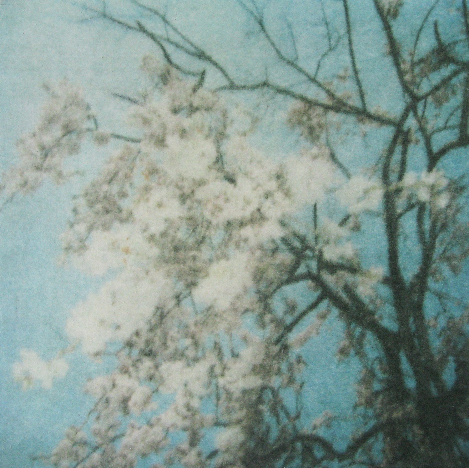 Cherry Blossom - Mixed Media Original