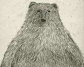 Black Bear