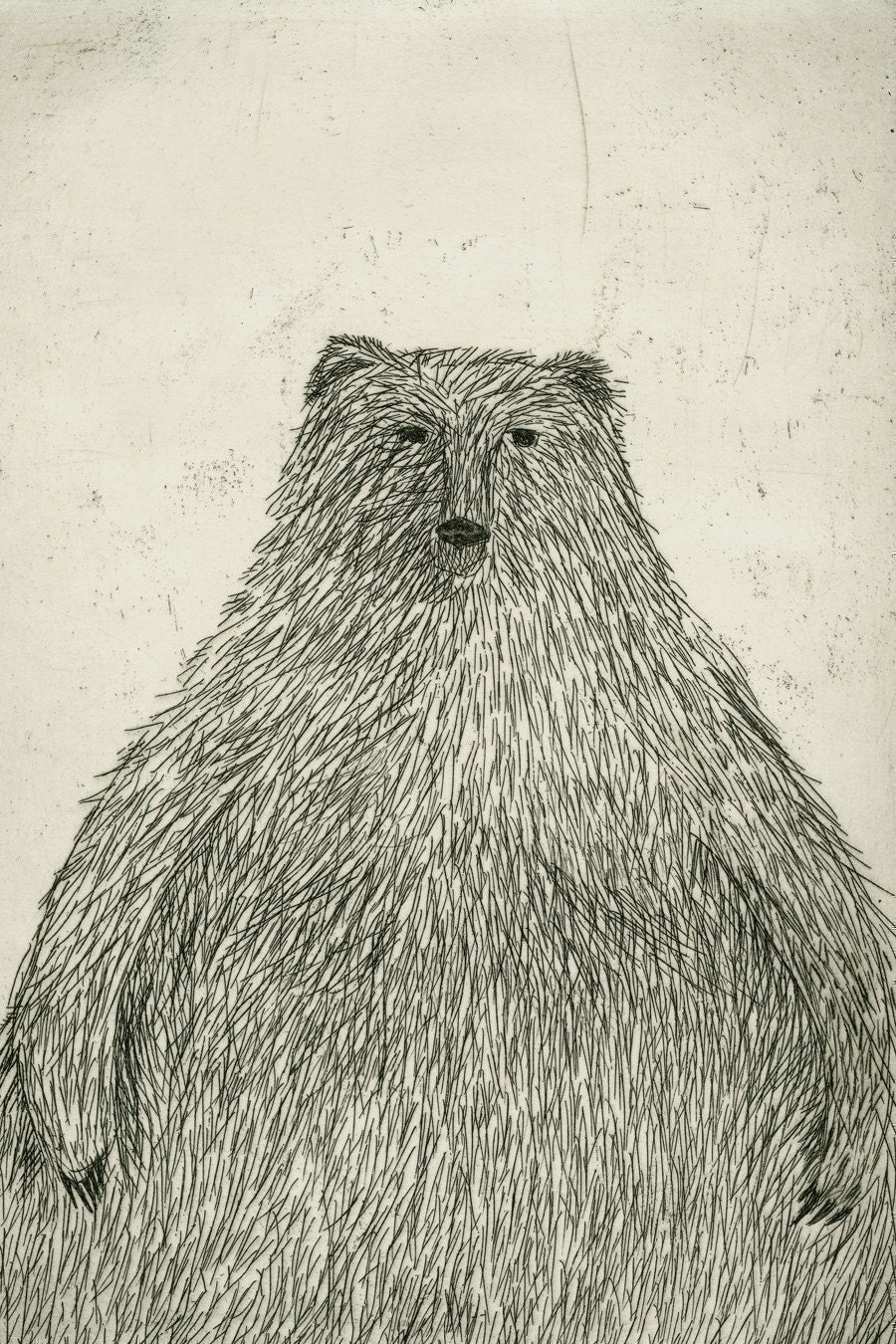 Black Bear