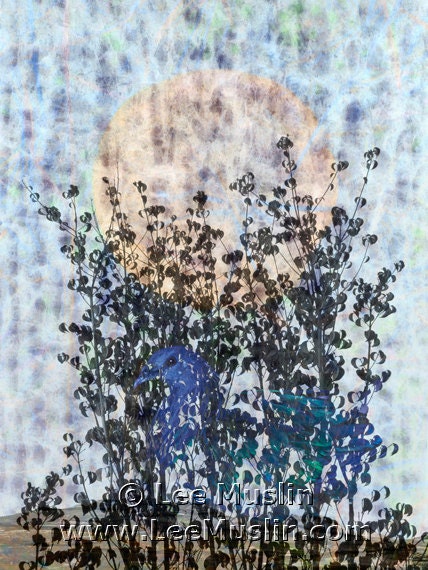 Blue Mist - small digital art photo collage, bird