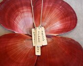 Sterling Silver Family Necklace with Double Sided Rectangular Tags