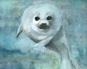Arctic Swimmer - Harp Seal - Fine Art Archival Giclee Print 5 x 7 by Molly Harrison