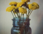 flowers in a jar polaroid print