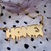 Gold Mirrored HONEY Acrylic Necklace