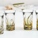 ready to ship - Set of 4 hand painted shot glasses - Grass Fields Collection