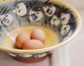 Art Photography Food Egg Bowl 8x8 Modern Wall Art