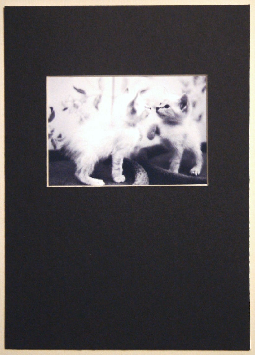 Matted Photograph ACEO Snowflake 1 
