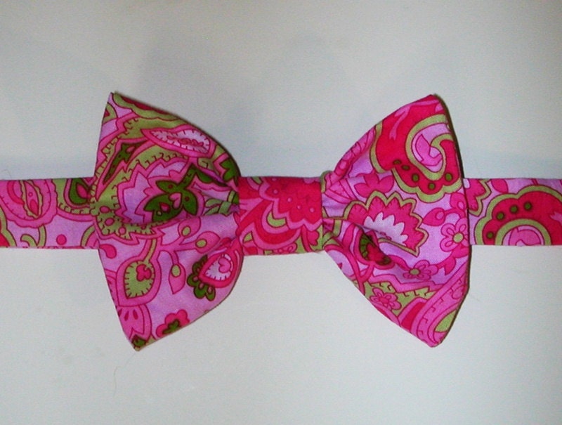 Dog Bow Tie: Pink and Green Paisley