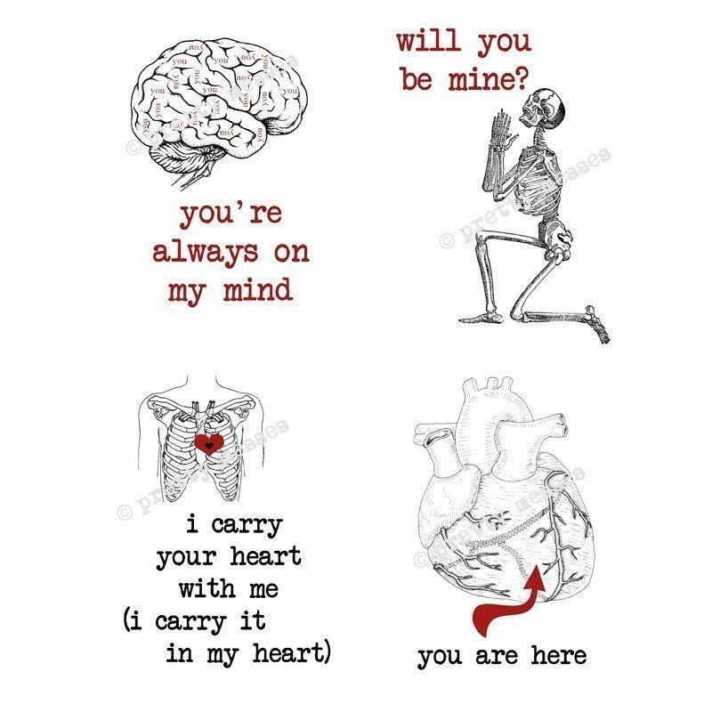 Printable Anatomical Valentines I, set of 4 - PDF