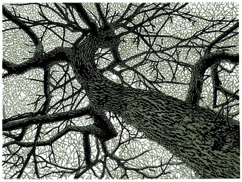 Winter Branches linocut