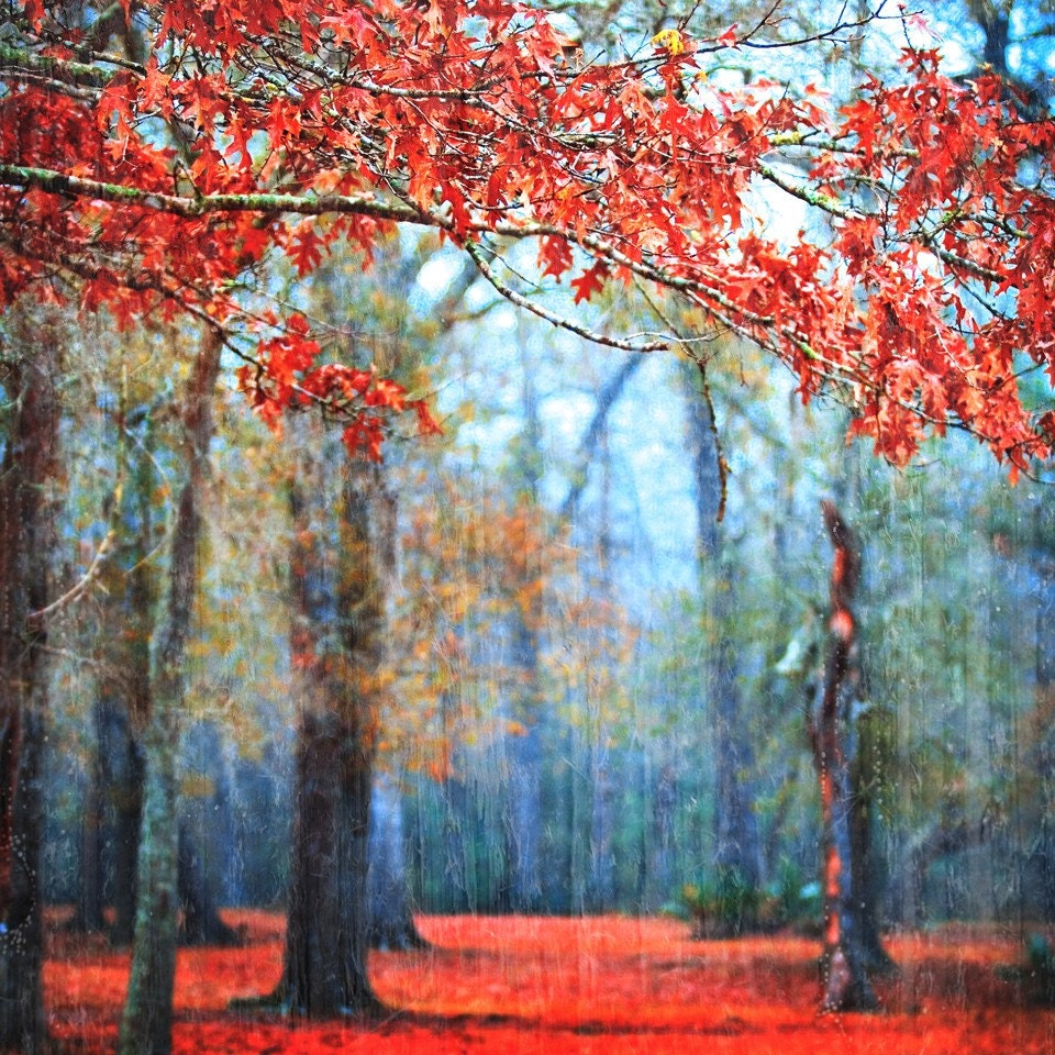 passionate earth - misty fairytale landscape - fog photography - home decor - magical