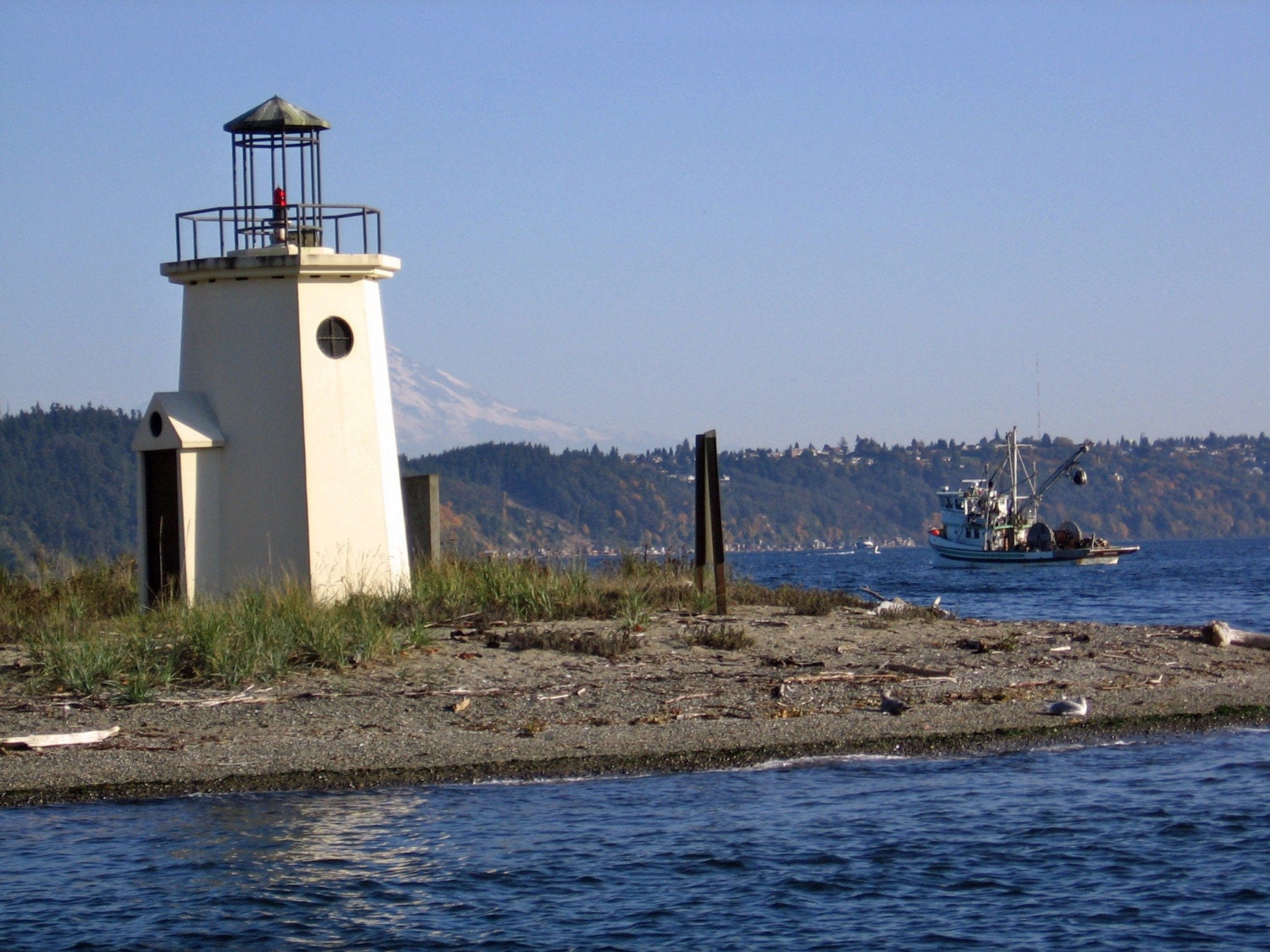 The Lighthouse