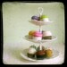 Pincushion - Felted Cupcake, Vanilla