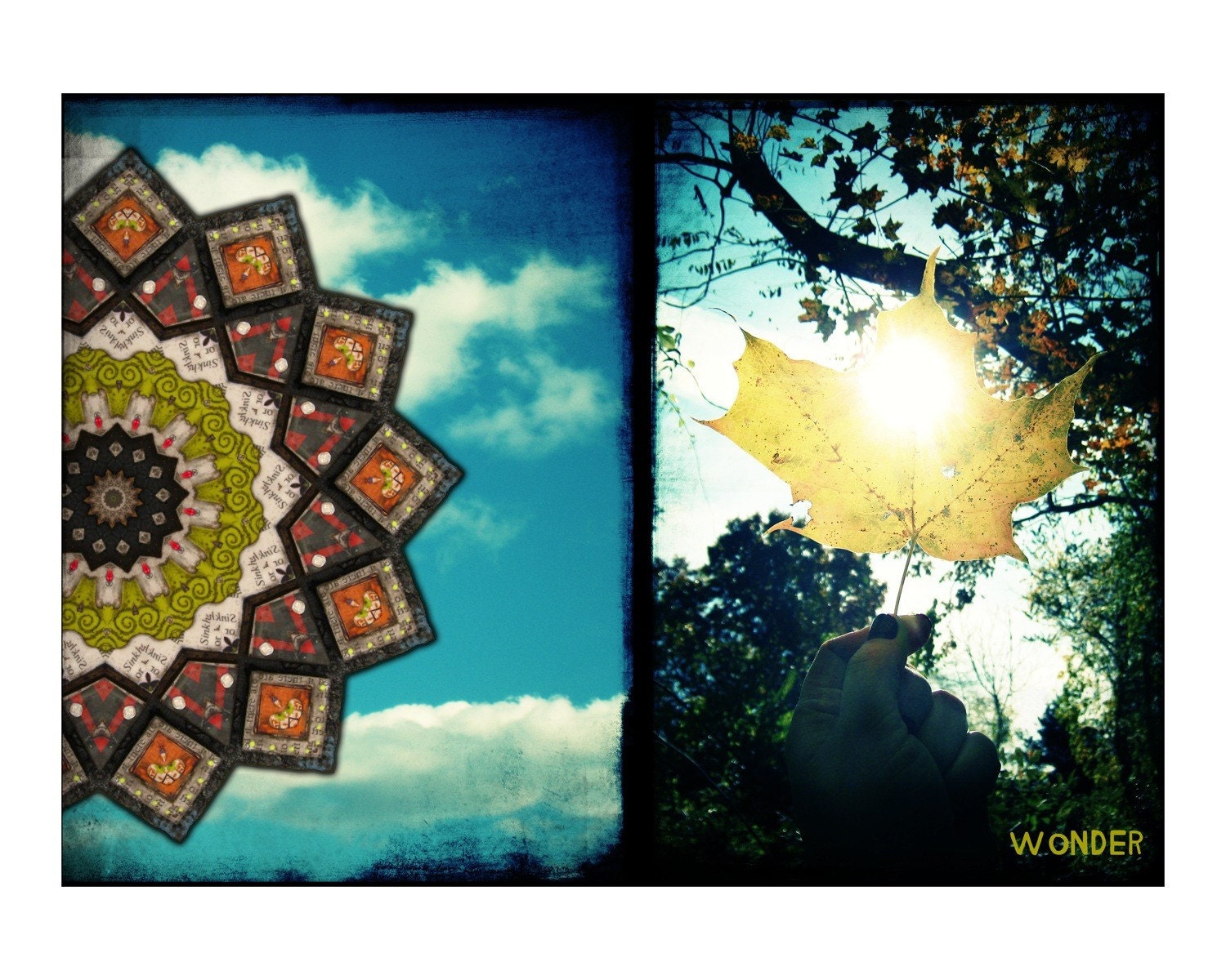 Sunshine Wonder Print 8x10
