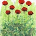 Buy 2 Get 1 FREE -- Watercolor Painting: Watercolor Flowers -- Art Print --  Christmas in July -- Red Flowers -- 8x10
