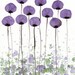 Buy 2 Get 1 FREE -- Watercolor Painting: Watercolor Flowers -- Art Print --  A Bit Shy -- Purple Flowers -- 8x10