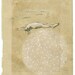drawn (standard size print)