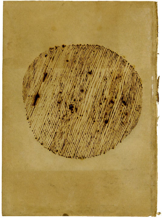 original drawing - palindrome
