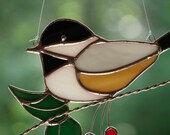 Black Capped Chickadee