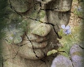 Zen Buddha art - sage green tones - Inner Tranquility 8x10 Giclee Yoga art print