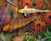 Kona Kurry 8x10 Koi Fish Tropical Art print