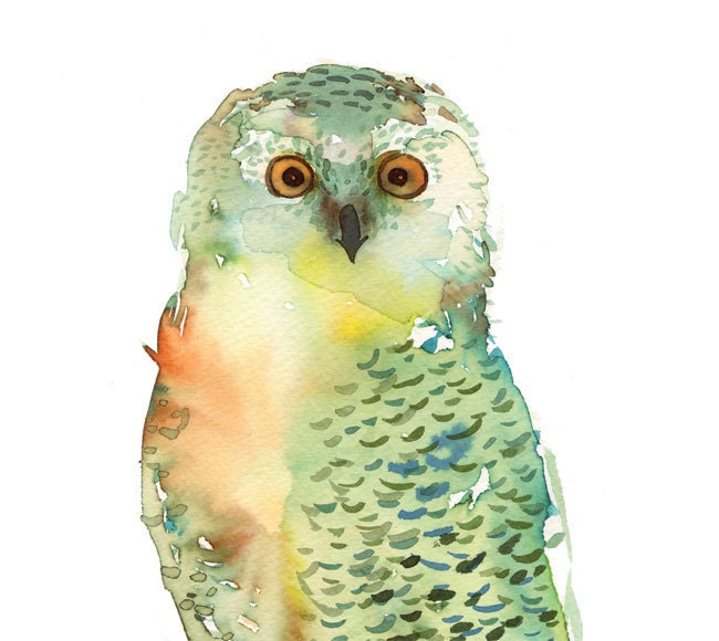 Green Owl art print - archival fine art