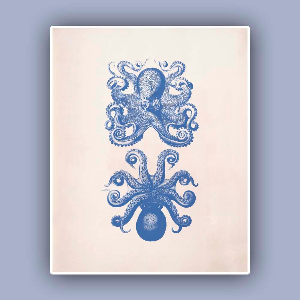 Octopus vulgaris Print 2,  Vintage octopus image print,  Marine Wall Decor, Nautical art,  Mixed Media Collage  Print, Coastal Living