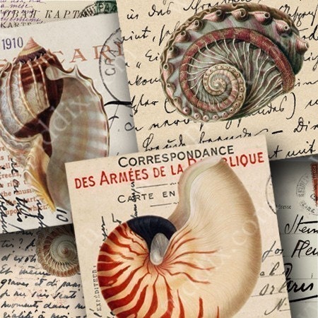 Seashell Engravings on Vintage Postcards in 2.5 in squares -- piddix digital collage sheet no. 449